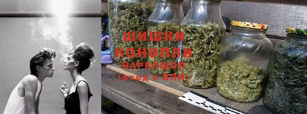 шишки Бронницы